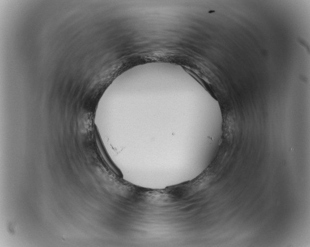 X0000099940284200806131432