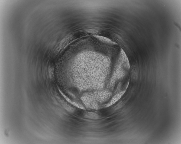 X0000099940285200806131432