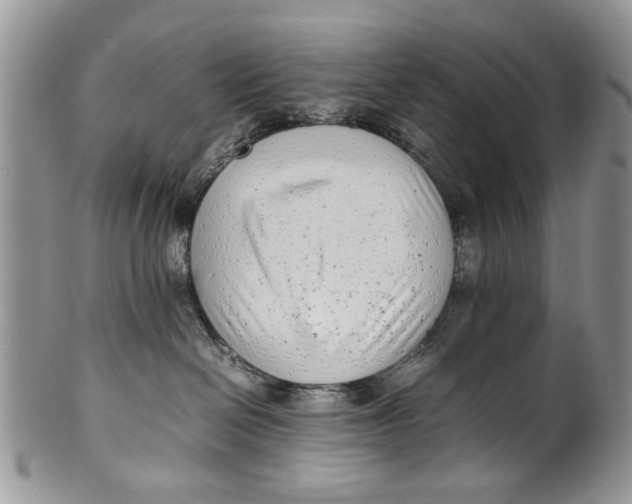 X0000099940286200806131432