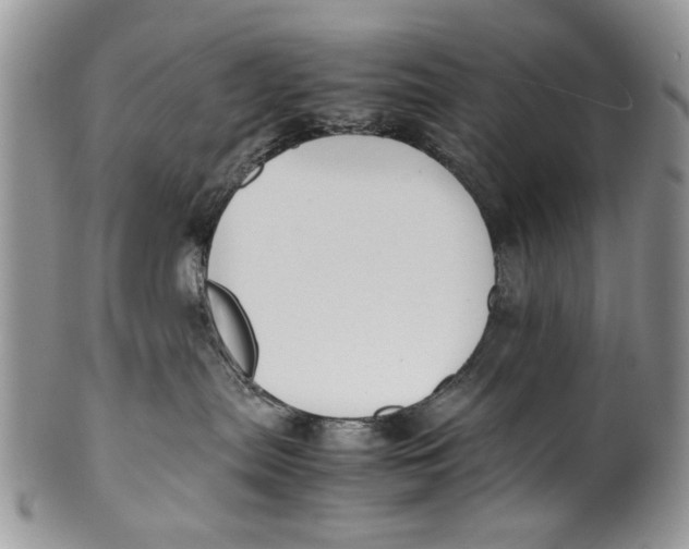 X0000099940287200806131432