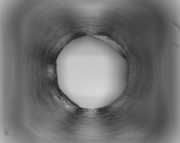 X0000099940288200806131432