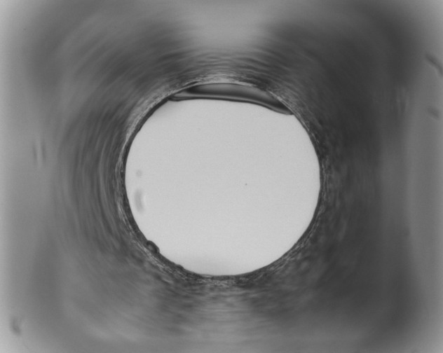 X0000099940289200806131431