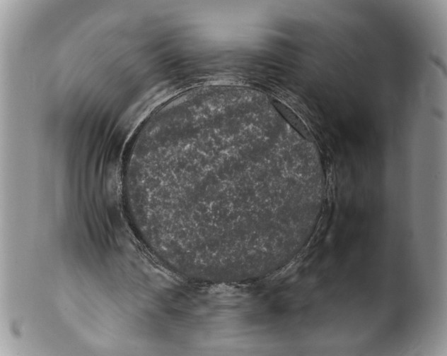 X0000099940290200806131431