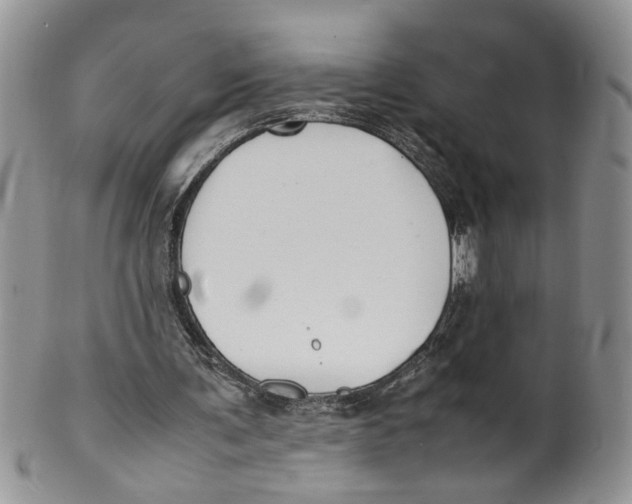 X0000099940291200806131431