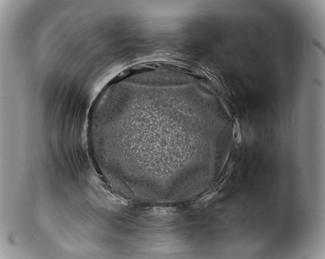 X0000099940292200806131431