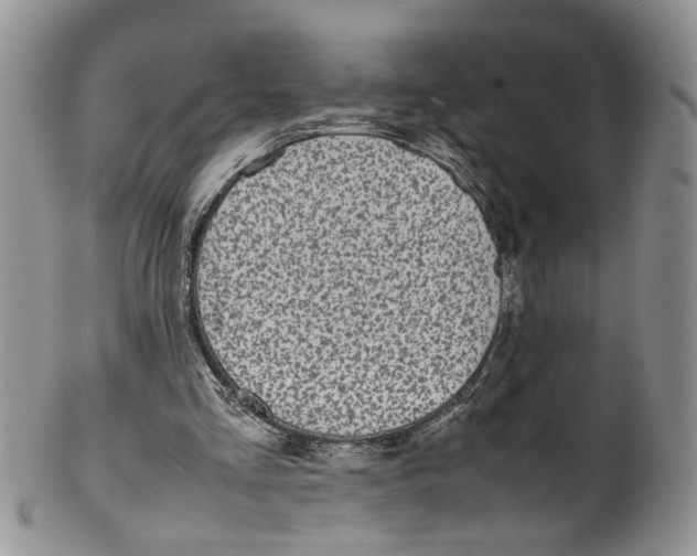 X0000099940293200806131431