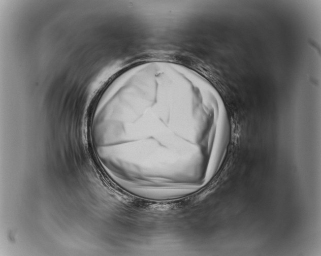 X0000099940294200806131431