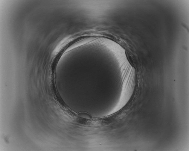 X0000099940295200806131431