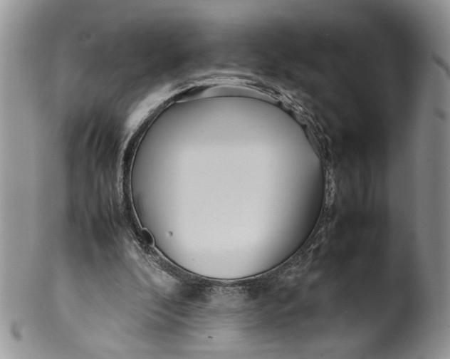 X0000099940296200806131431