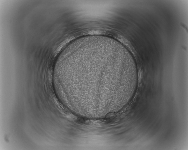 X0000099940297200806131431