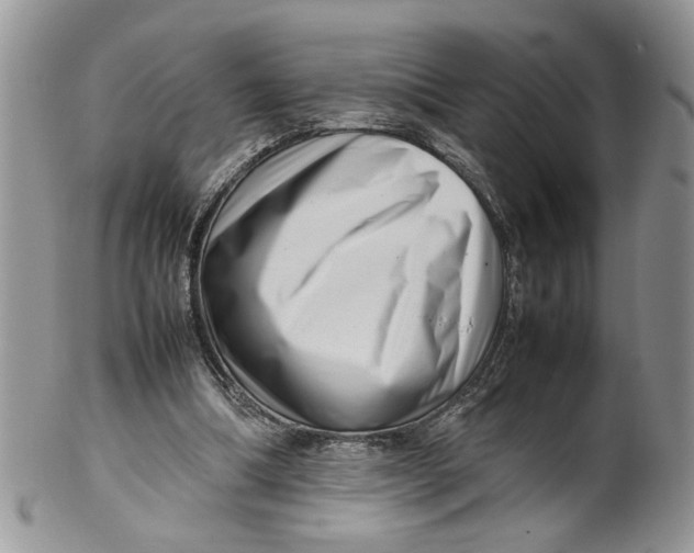 X0000099940298200806131431