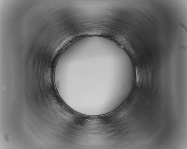 X0000099940300200806131431