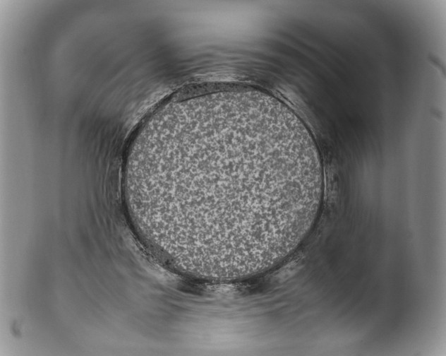 X0000099940301200806131431