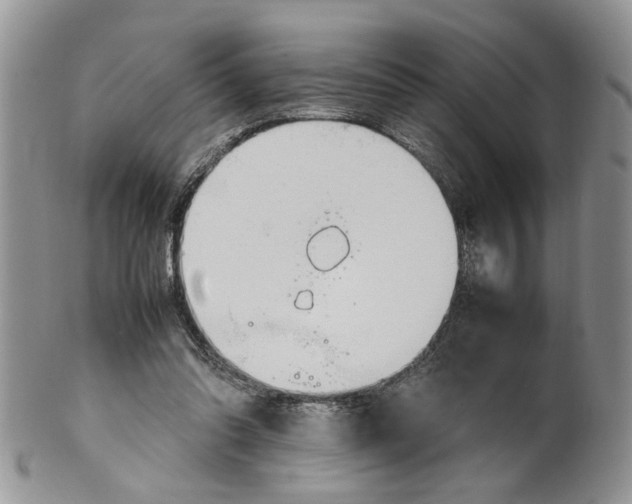 X0000099940302200806131431