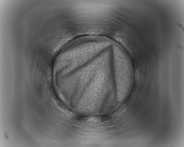 X0000099940303200806131431