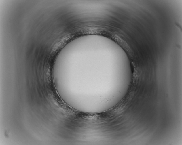 X0000099940306200806131431