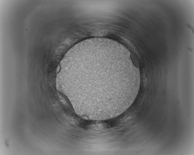 X0000099940307200806131431