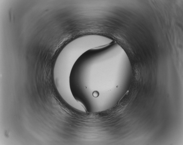 X0000099940308200806131431