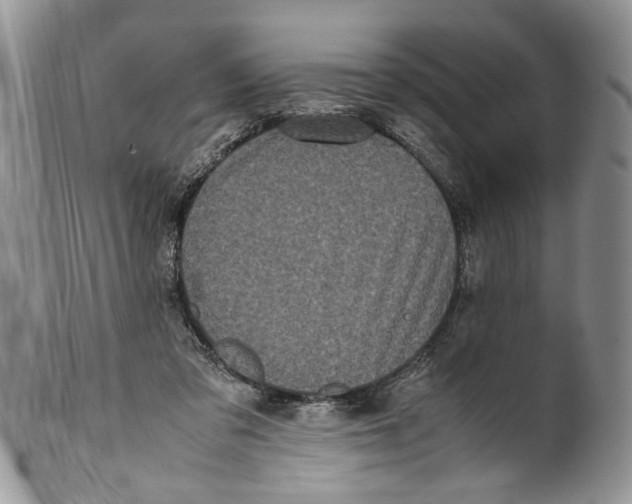 X0000099940309200806131431