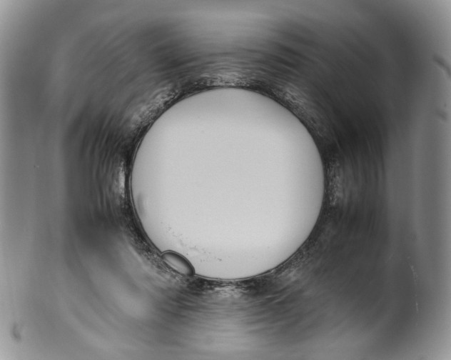 X0000099940310200806131431