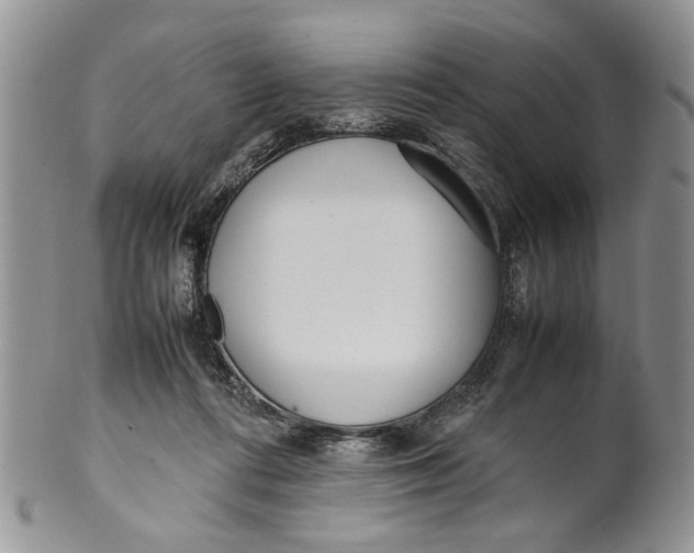 X0000099940312200806131431