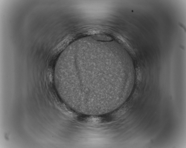 X0000099940313200806131431