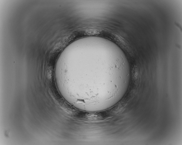 X0000099940315200806131431