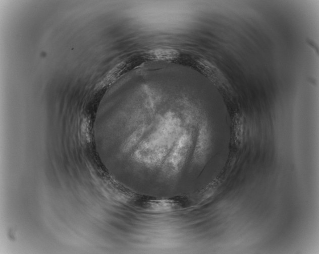 X0000099940316200806131431