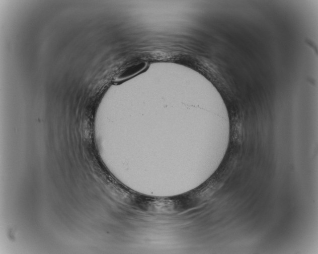 X0000099940317200806131431