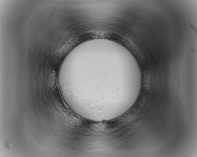 X0000099940318200806131431