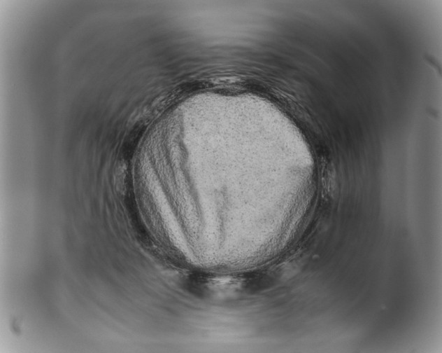 X0000099940319200806131431