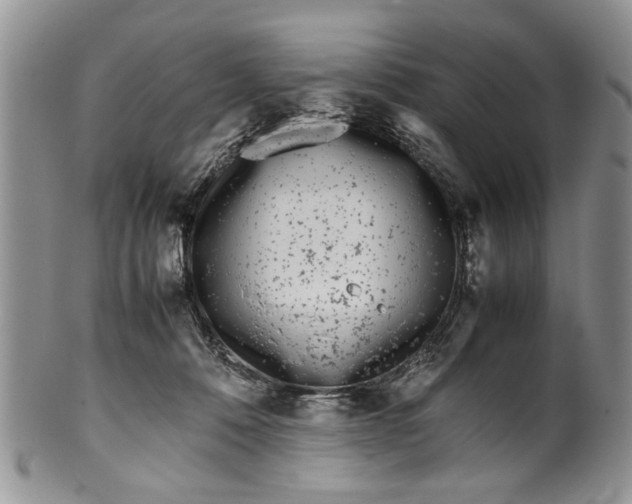 X0000099940320200806131431