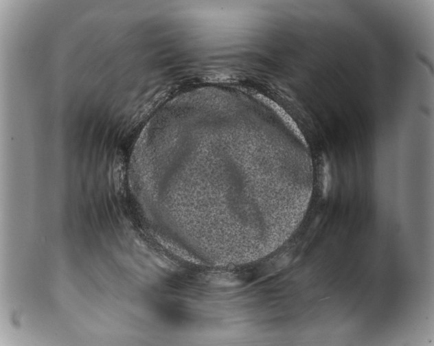 X0000099940322200806131431