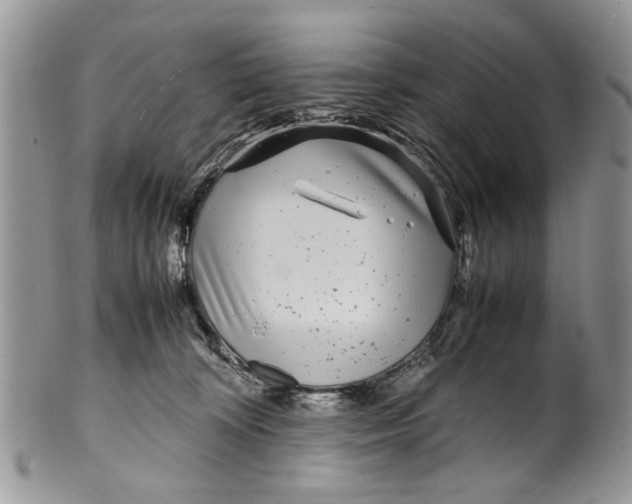 X0000099940324200806131431