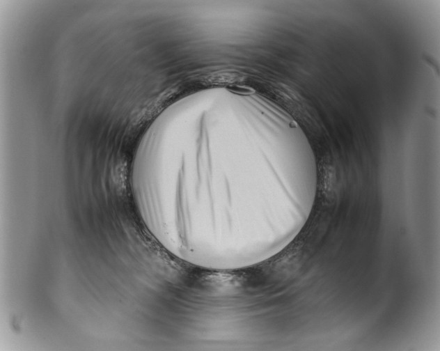 X0000099940326200806131431