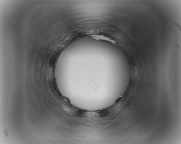 X0000099940327200806131431