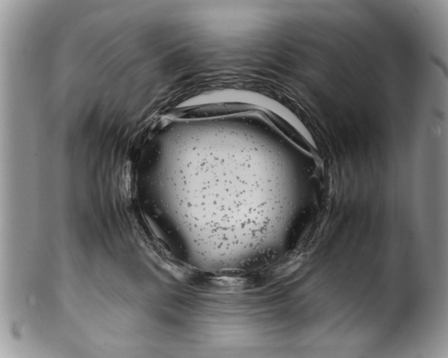 X0000099940328200806131431