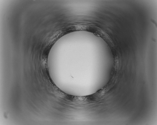 X0000099940329200806131431