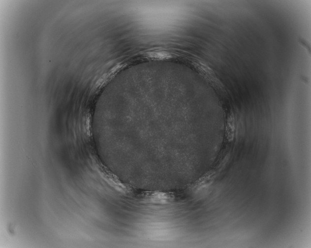 X0000099940330200806131431