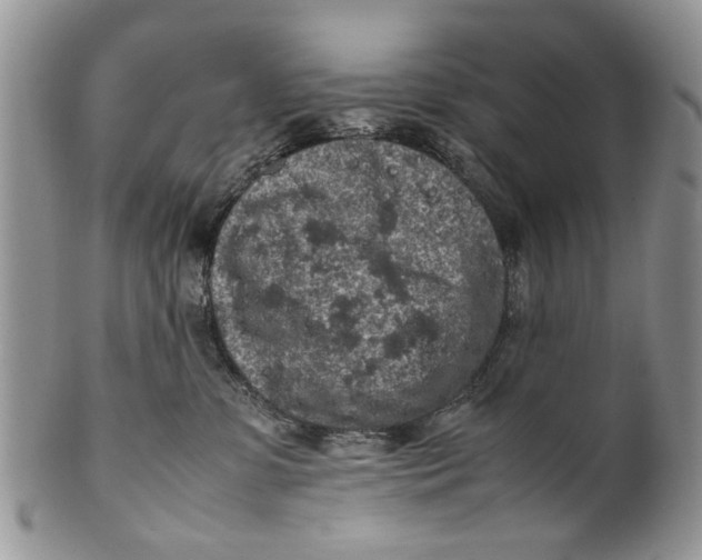 X0000099940331200806131431