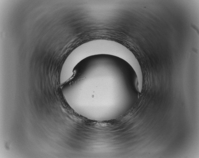 X0000099940332200806131431