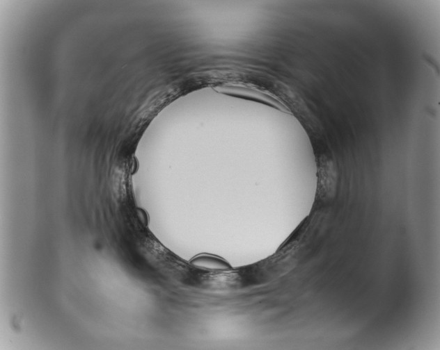 X0000099940333200806131431