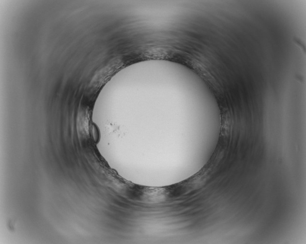 X0000099940334200806131431