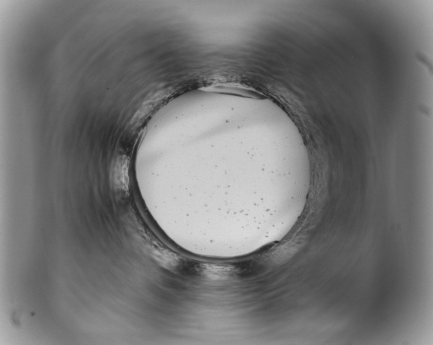 X0000099940336200806131431