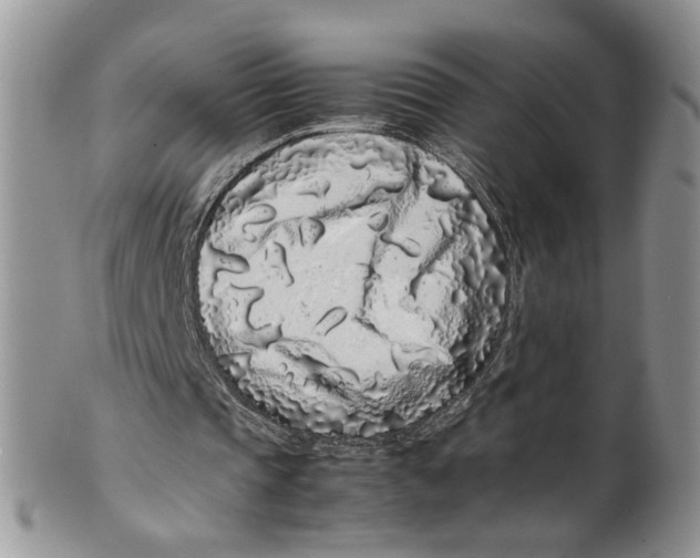 X0000099940337200806131430