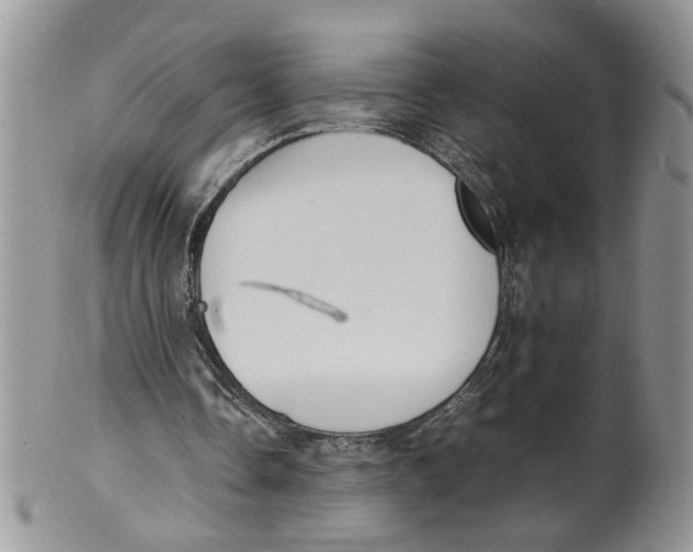 X0000099940338200806131430