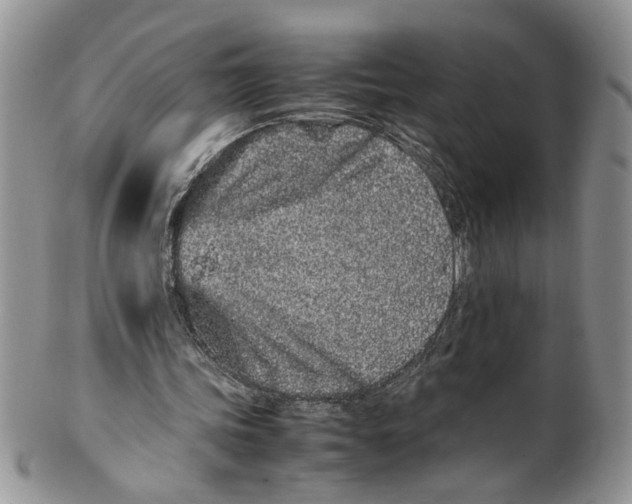 X0000099940339200806131430