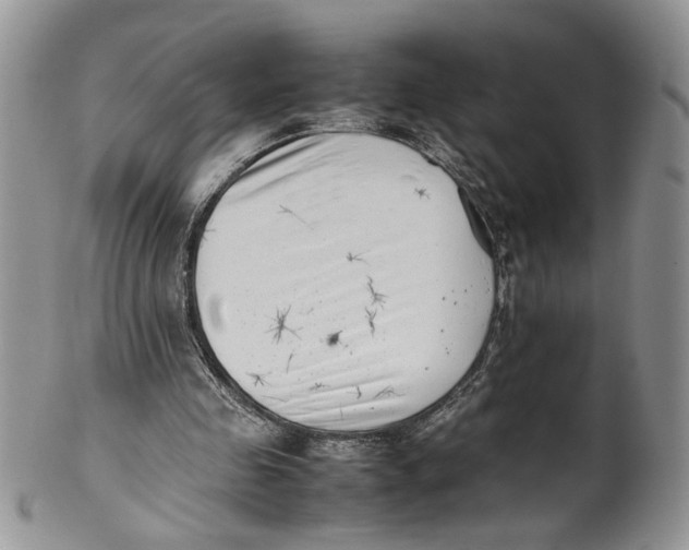 X0000099940341200806131430