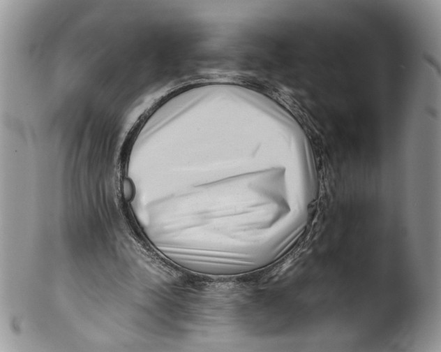 X0000099940342200806131430