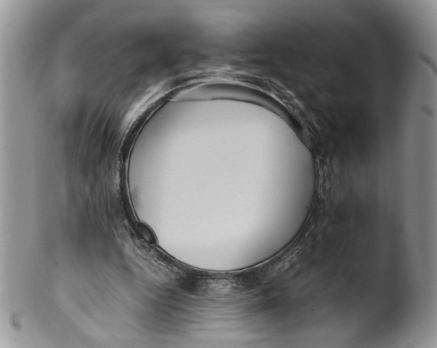 X0000099940344200806131430